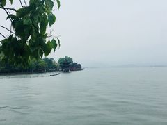 -西湖游船