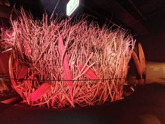 -墨尔本博物馆(Melbourne Museum)