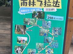 -西双版纳原始森林公园