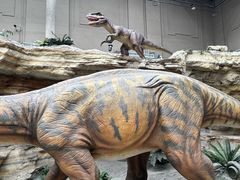 -国家自然博物馆