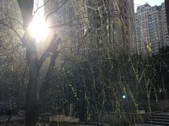 -名士豪庭