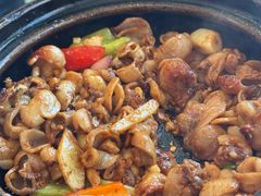 啫啫石斑鱼扣-煲煲好(朝阳门店)