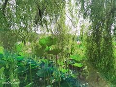 -长春市南湖公园