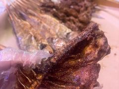 -夜火烤摊·东北烧烤酒场·老杨小黄鱼