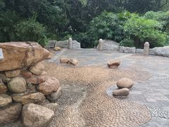 -黄埔荔枝公园