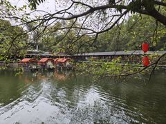 -荔湾湖公园