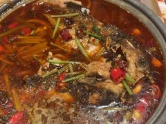 -宝记烧烤·碳锅羊肉·羊蝎子火锅·夜食社(文体路创始店)