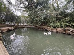 -兰亭风景区