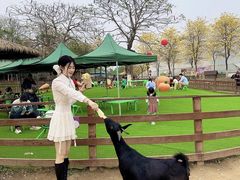 -盈香心动乐园