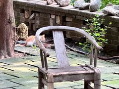 -四门塔风景区