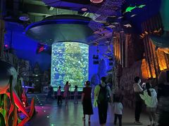 -芜湖新华联大白鲸海洋公园