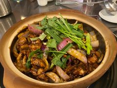 -胡须佬鸡煲四季火锅店(石厦西村直营店)