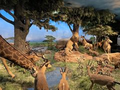 -国家自然博物馆