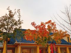 -拿渡·水煮鱼麻辣香锅(王府井奥莱·香江小镇店)