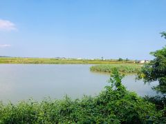 -崖口红树林海鲜餐厅