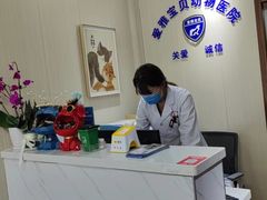 -中农大我爱我爱24h动物医院·中医针灸·猫专科·骨科医疗中心(双井店)