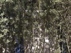 -春晖园度假酒店温泉