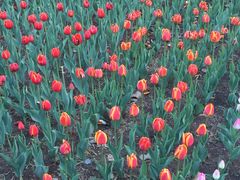 -长春公园(普阳街道)