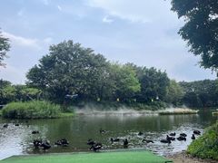 -广州长隆飞鸟乐园