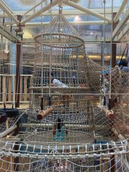 -PIPIKINGDOM皮皮王国欢乐号(欢乐海岸购物中心店)