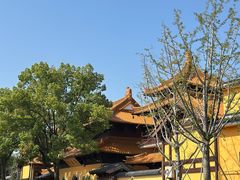 -亭林园-华藏寺