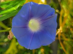 -鹫峰国家森林公园