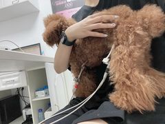 -我宠我爱动物医院·全科·中医骨外科专科店(新世界店)