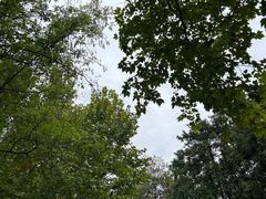 -宜兴龙背山森林公园