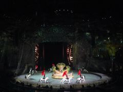 -广州长隆国际大马戏