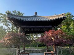 -莲花池公园