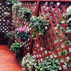 -新蝶变皮肤管理中心