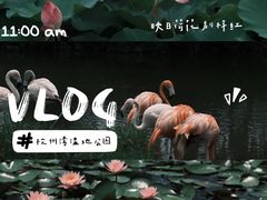 -宁波杭州湾国家湿地公园