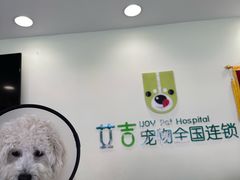 -艾吉宠物医院·疑难杂症转诊中心·猫友好(碧江路院)