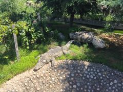 -石家庄市动物园