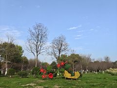 -瑶湖湿地自然保护区