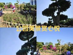 -南宁南湖公园