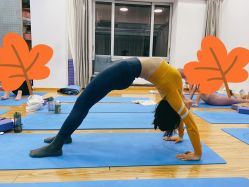 -亚太瑜伽普拉提学院