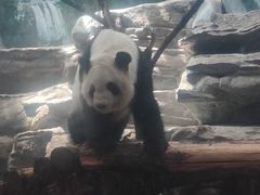 -鄂尔多斯野生动物园