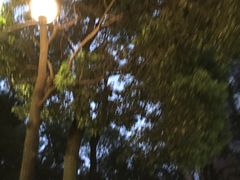 -四川大学(华西校区)