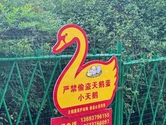 -西苑公园