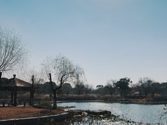 -阳澄湖半岛旅游度假区
