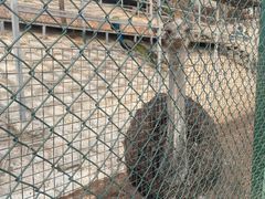 -北京鹿世界主题园