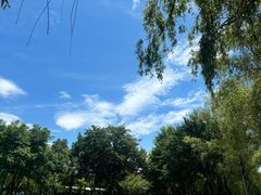 -西山漾湿地公园