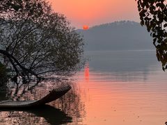 -东湖落雁景区