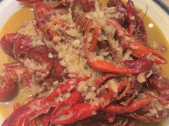 -杨氏青龙虾·羊蝎子(珠江路店)