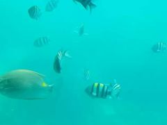 -亚龙湾海底世界