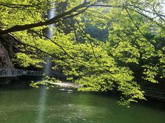 -湖洞水自然风景区