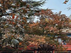 -北京石刻艺术博物馆(五塔寺)