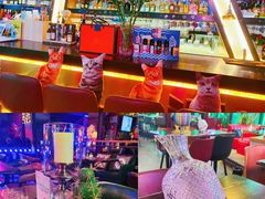 -Famous肥猫墨西哥音乐餐吧(五棵松华熙LIVE店)