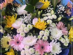 -花鸟鱼虫鲜花绿植市场(玉泉路店)